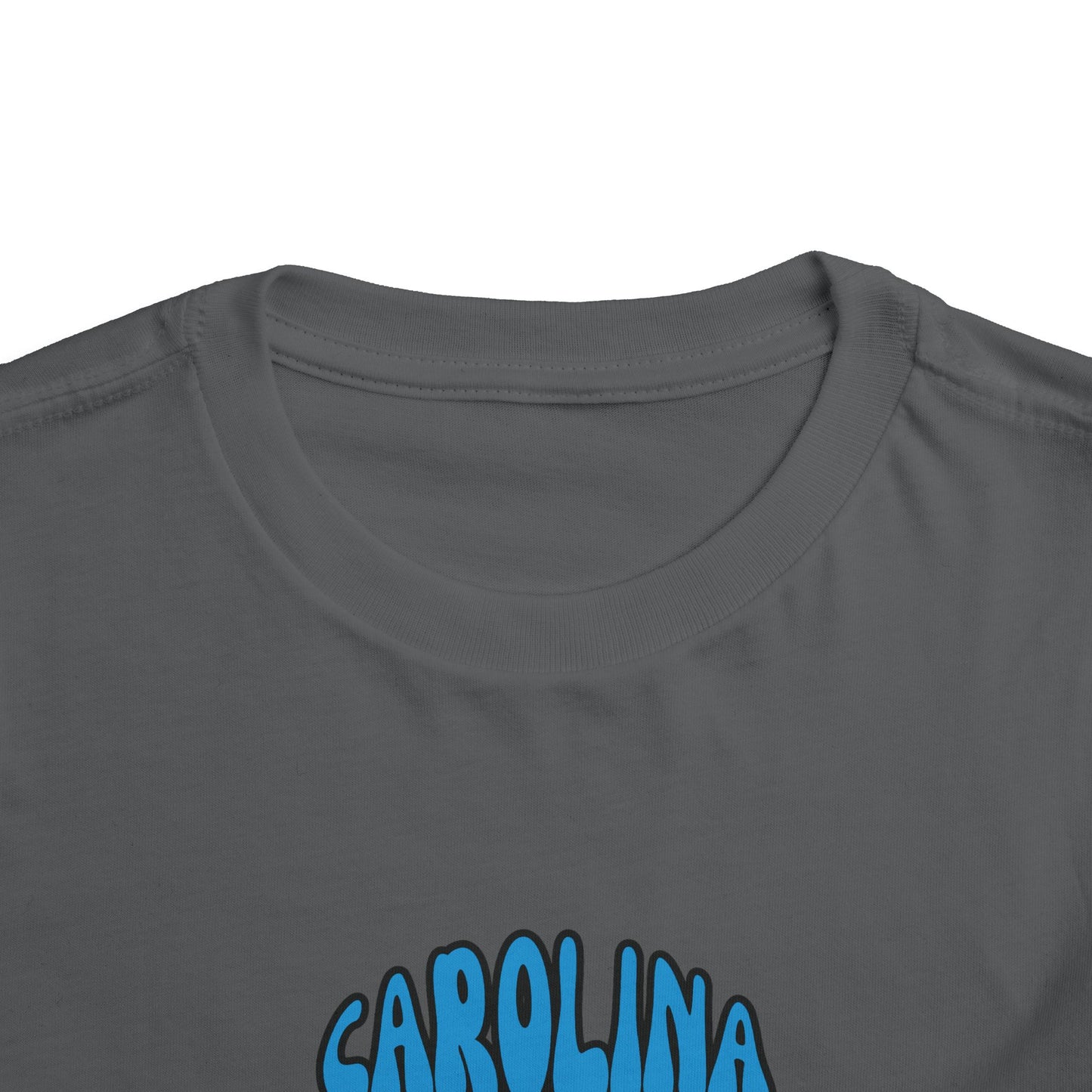 Toddler Tee - Bluey & Bingo Carolina Panthers Football T-Shirt